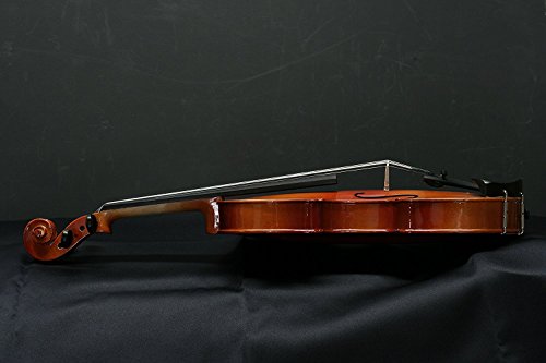 Stentor 1500-4/4 Student II Violin Outfit- Size 4/4 with Zorro Sounds Violin Polishing Cloth