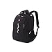 Swiss Gear SA5965 Laptop Computer Tablet Notebook Backpack - for School, Travel, Carry On Luggage, Women, Men, Student, Professional Use - Black, 19 Inches