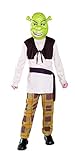 Shrek Child's Costume With Mask, Shrek Costume