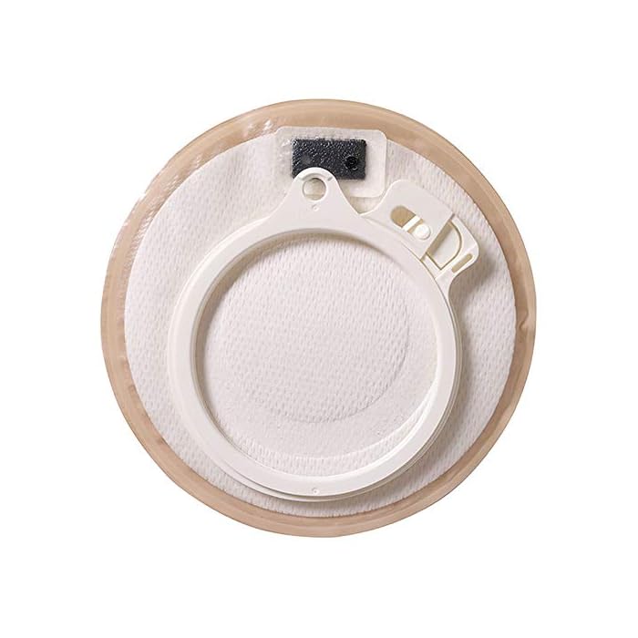 Assura 2-Piece Cap 1/2" - 1-3/4" (Box of 30)