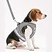 Cat Harnesses and Puppy Harness with Leashes Set, Escape Proof Cat Harness, Adjustable Reflective Soft Mesh Vest Fit Puppy Kitten Rabbit Ferrets's Outdoor Harness