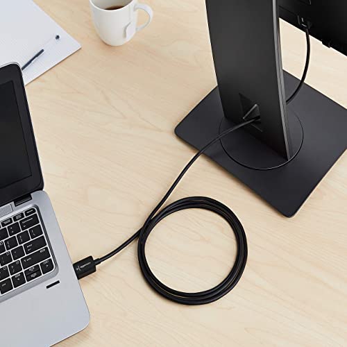 Amazon Basics DisplayPort to HDMI Display Cable, UniDirectional, 4K