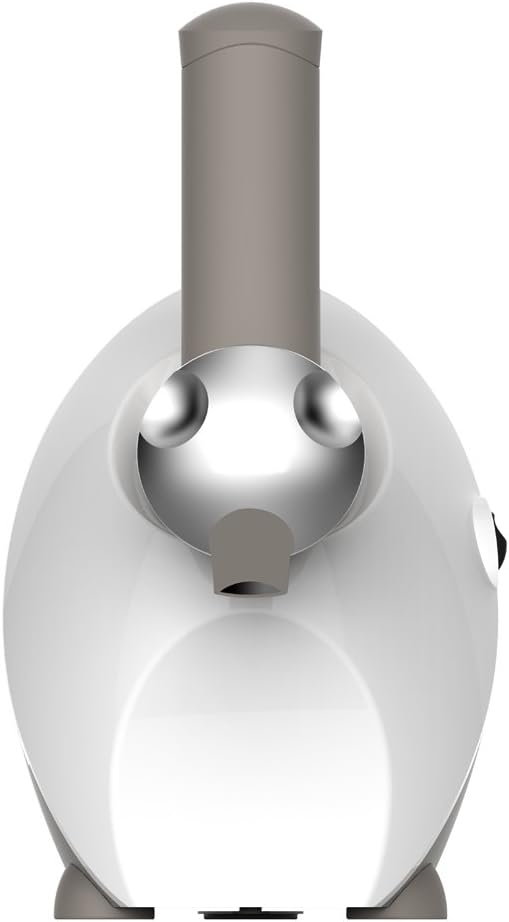 Cooksclub Fro-frutti Frozen Fruit Dessert Maker White