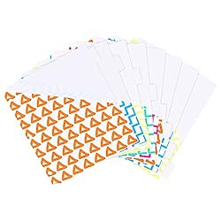 Amazon Basics 8-Tab Plastic Binder