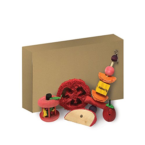 Kaytee Chew & Treat Toy Assortment for Guinea Pigs (5 Pack)