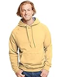 Hanes mens 7.2 oz. Nano Pullover Hood (N270)