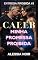 Livro CALEB: Minha Promessa Proibida: Um Romance Dark com Diferença de Idade, Protetor Alfa, Casamento Arranjado e Amor Proibido (ENTREGA PROIBIDA Livro 3)