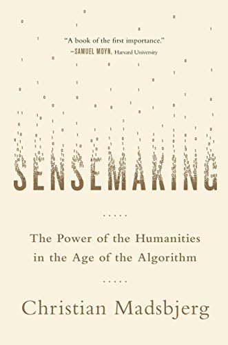 Sensemaking in Organizations (Foundations for Organizational