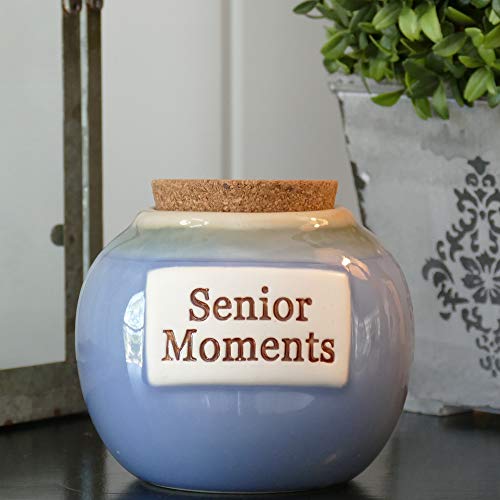 Tumbleweed Cottage Creek Funny Gifts Decorative Senior Moments Jar Funny Piggy Bank/Funny Ceramic Coin Bank Gag Gifts [Blue] - Thumbnail 5