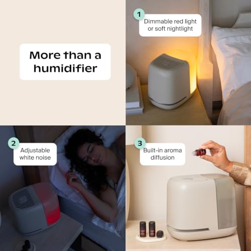 Canopy Bedside Humidifier 2.0, White, 36 HR Run Time, 2.5L Capacity - Reading Light & White Noise - Alleviate Symptoms of Allergies, Flu, Cold, Dry Skin - Humidifier, Filter, Power Cord & Adapter