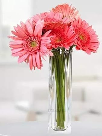 Floralbay Valentine S Day Specail Fresh Flowers Vase Arrangment Of