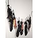 Coceca 300pcs Black Feathers for Various Birthday Party Wedding Festival Party Decorations