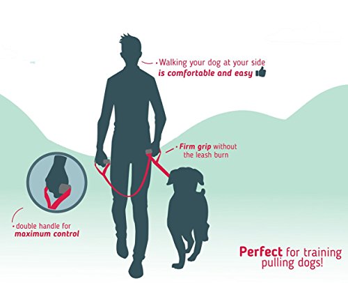 Leashboss Original - Heavy Duty Two Handle Dog Leash for Large Dogs - No Pull Double Handle Training Lead for Walking Big Dogs (Basic Red)