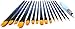 Heart Nuvo's 15+1 Artist Paintbrush Set with Case - Assorted Nylon Brushes and Water Brush for Watercolor Painting, Acrylic Painting, and Oil Painting