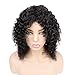 Goldfinch Deep Wave Lace Closure Wig Human Hair Curly Lace Closure Wig for Black Women Brazilian Virgin Hair Wet n Wavy 4x4 Lace Front Wig 150% Density 12 inches Middle Part