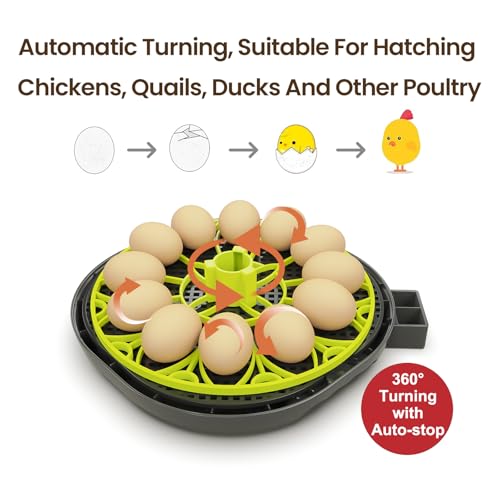 Incubators for Hatching Eggs 12 Egg Lab Incubator with Automatic Egg Turning and Humidity Display,Auto Water Replenishment,for Chicken Eggs and Quail Egg