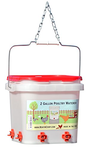 2 Gallon Chicken Waterer - Horizontal Nipple Setup (4 Nipple Corner)