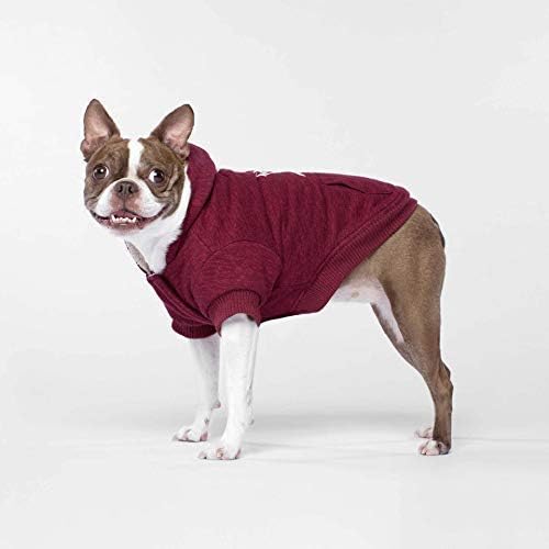 dog sherpa hoodie