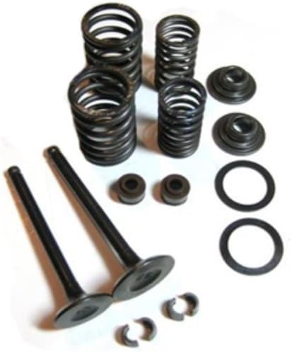 ENGINE VALVES REBUILD KIT BMS TRAILMASTER KANDI ROKETA 150CC GO KART DUNE BUGGY