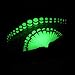 BodyJ4You 36 Pieces Gauges Kit Clear Glow In The Dark Radiant Acrylic Tapers and Plugs 14G-00G Stretching Kit Gift Box