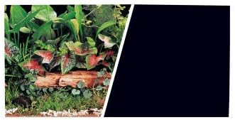 GEOsystem Elite Marin 11712 12" x 50' Background, Green