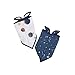 Little Unicorn Cotton Bandana Drool Bib 2 Pack - Planetary Set
