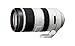 Sony SAL-70400G2 70-400mm F4-5.6 G SSM Super Telephoto Zoom Lens