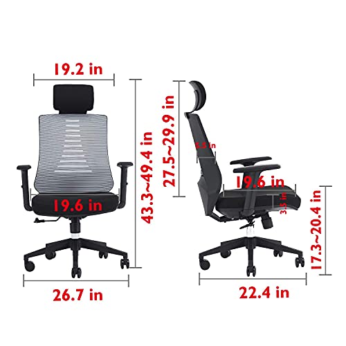 KLASIKA Ergonomic Office Chair with Height Adjustable Back and Lumbar