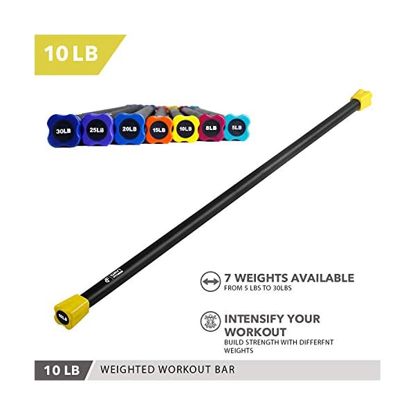 Day 1 Fitness Weighted Workout Bar with Rubber Padding, 7 Size and Bundle Options, 530lbs