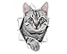 Winston & Bear 3D Cat Stickers - 2 Pack - Grey Tabby Cat Stickers for Wall, Fridge, Toilet and More - Retail Packaged Grey Tabby Cat Stickers