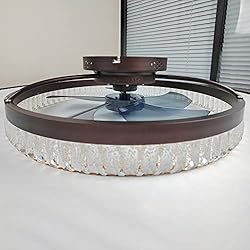 PSHRFANST 19.7" Ceiling Fan with Lights, Dimmable