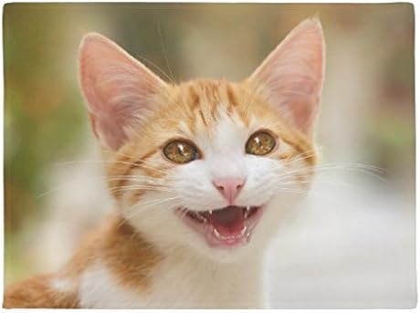 Amazon 笑顔の子猫面白い猫の猫のゴムの滑り止めのエントリー方法屋外屋内の装飾敷物ドアマット 23 6インチx 15 7インチ 玄関マット オンライン通販