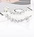 Boderier Ear Cuffs Crystal Flower Earrings Crystal Cluster Top Ear Clip (Silver T)