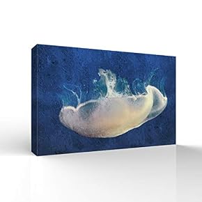 SIGNFORD Canvas Wall Art for Living Room,Bedroom Home...