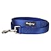 Blueberry Pet Essentials Royal Blue Dog Leash for Medium - 5' * 3/4