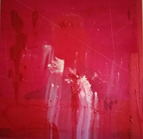 Concetto rosa by Stefania Selmi