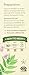 Alvita Organic Herbal Valerian Tea, 24 Count