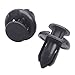 Lantee 10mm 100 Pcs Push-Type Nylon Bumper Fender Flare Fastener Rivet Retainer Clips for Honda & Acura 91503-SZ3-003