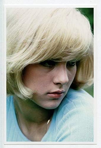 Amazon Co Jp 歌手 シルヴィ バルタン Sylvie Vartan 写真 フォト 小 Portrait Photograph 147a シルビー ヴァルタン ホビー