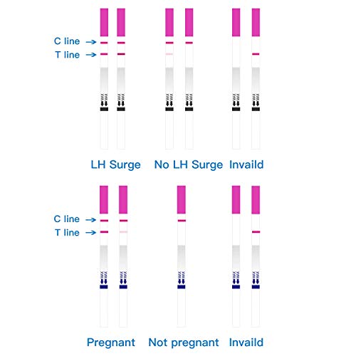 6 Femometer+Ovulation+Pregnancy+Automatically+Recognizing