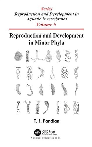 phyla skincare amazon