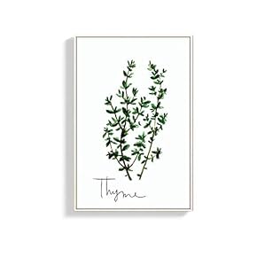 Framed Canvas Wall Art for Living Room, Bedroom Thyme Canvas Prints for Home Decoration Ready to Hang - 16x24 inches