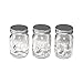 Mini Mason Jars by Tim Holtz Idea-ology, 4 x 2.25 Inches, Pack of 3, TH93202