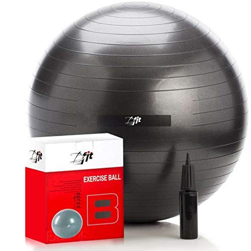 Buy Bfit USA Anti Burst Gym Ball 95Cm With Pump Online at Low Prices in