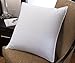 BlowOut Bedding 24