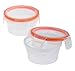 Snapware 2-Pack Total Solution 1.2-Cup Round Storage, Plastic