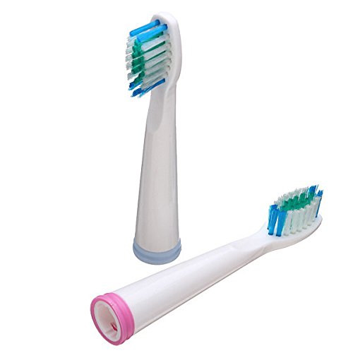 Pink Lizard 2pcs Universal Replacement Electric Toothbrush Head For Seago - Thumbnail 5