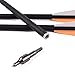 Carbon Arrow Practice Hunting Arrows with Removable Tips for Archery Compound & Recurve & Traditional Bow (Pack of 12)