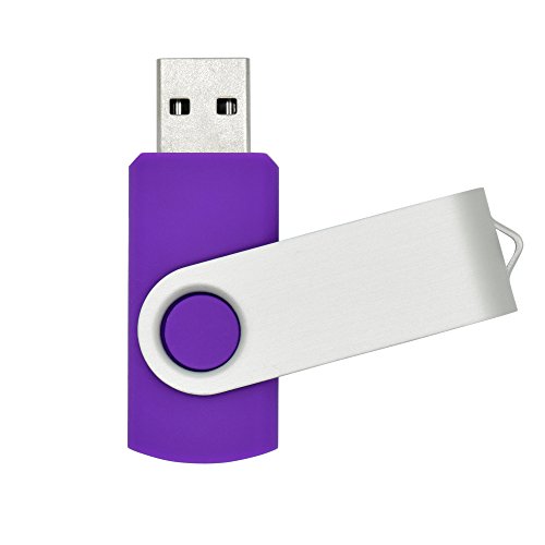 OVANUS 16GB USB 2.0 Flash Drives Metal Memory Stick Storage U Disk (Purple)