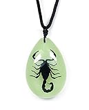 Real Genuine Black Scorpion Insect in Lucite Necklace